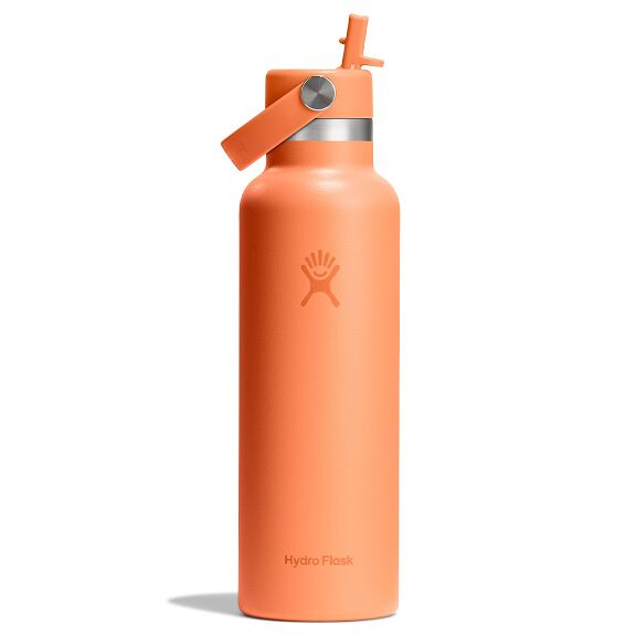 21 oz (621 ml) Standard Mouth with Flex Straw Cap - Nectar