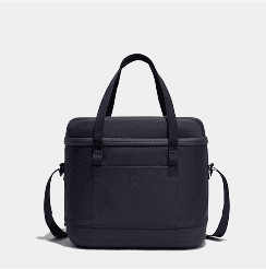 20 L Carry Out&trade; Cooler &nbsp;